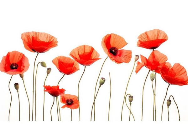 Style 3 - Red Poppy flower water transfer papers x 1
