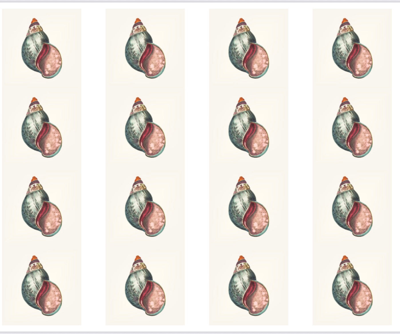 Vintage shells water transfer papers