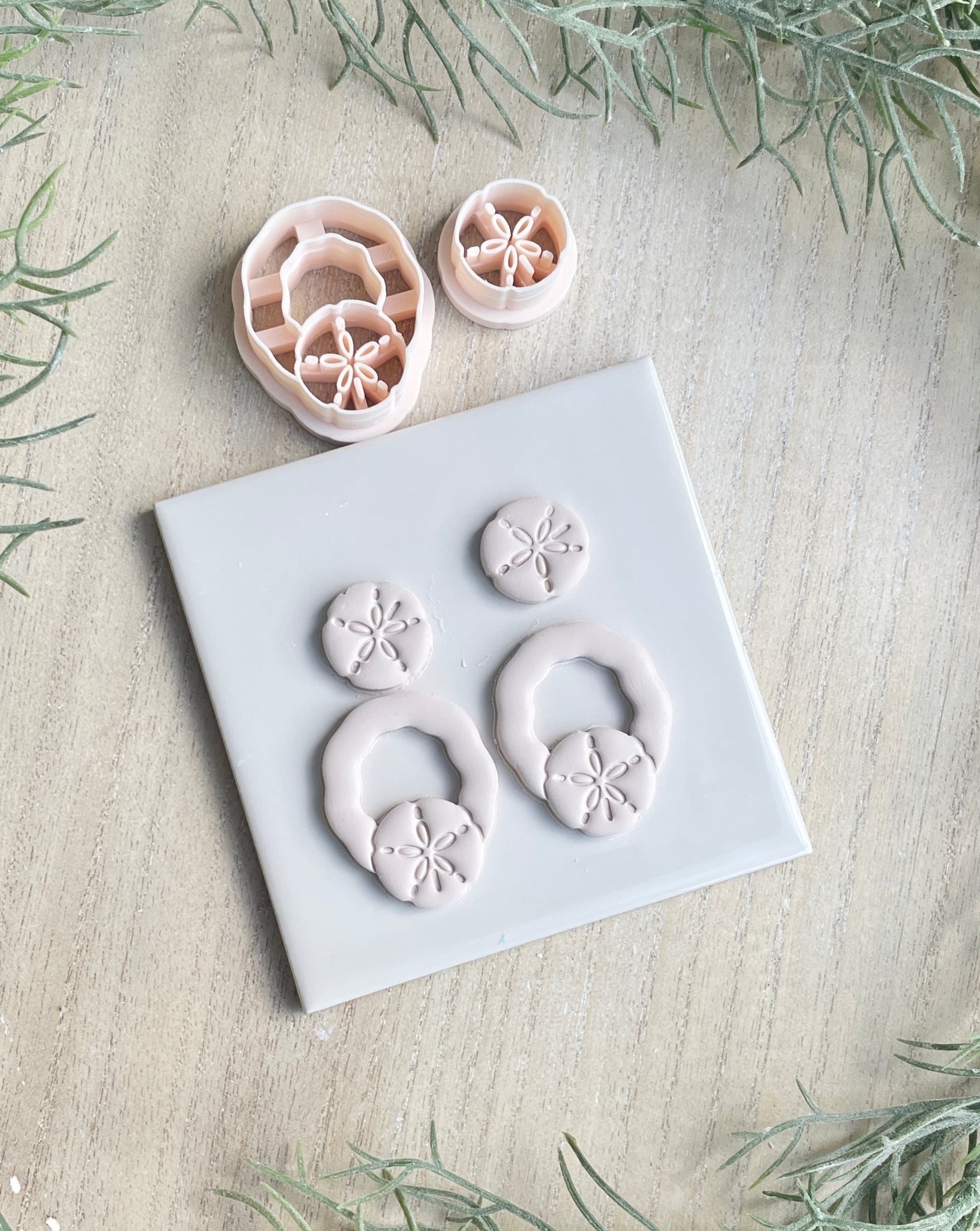 Daphane sand dollar cutter set