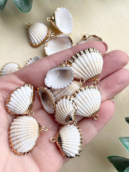 Gold border shell charms x 6 pieces