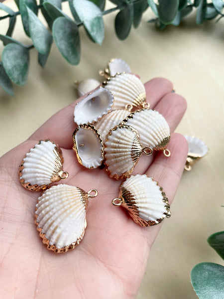 Gold border shell charms x 6 pieces