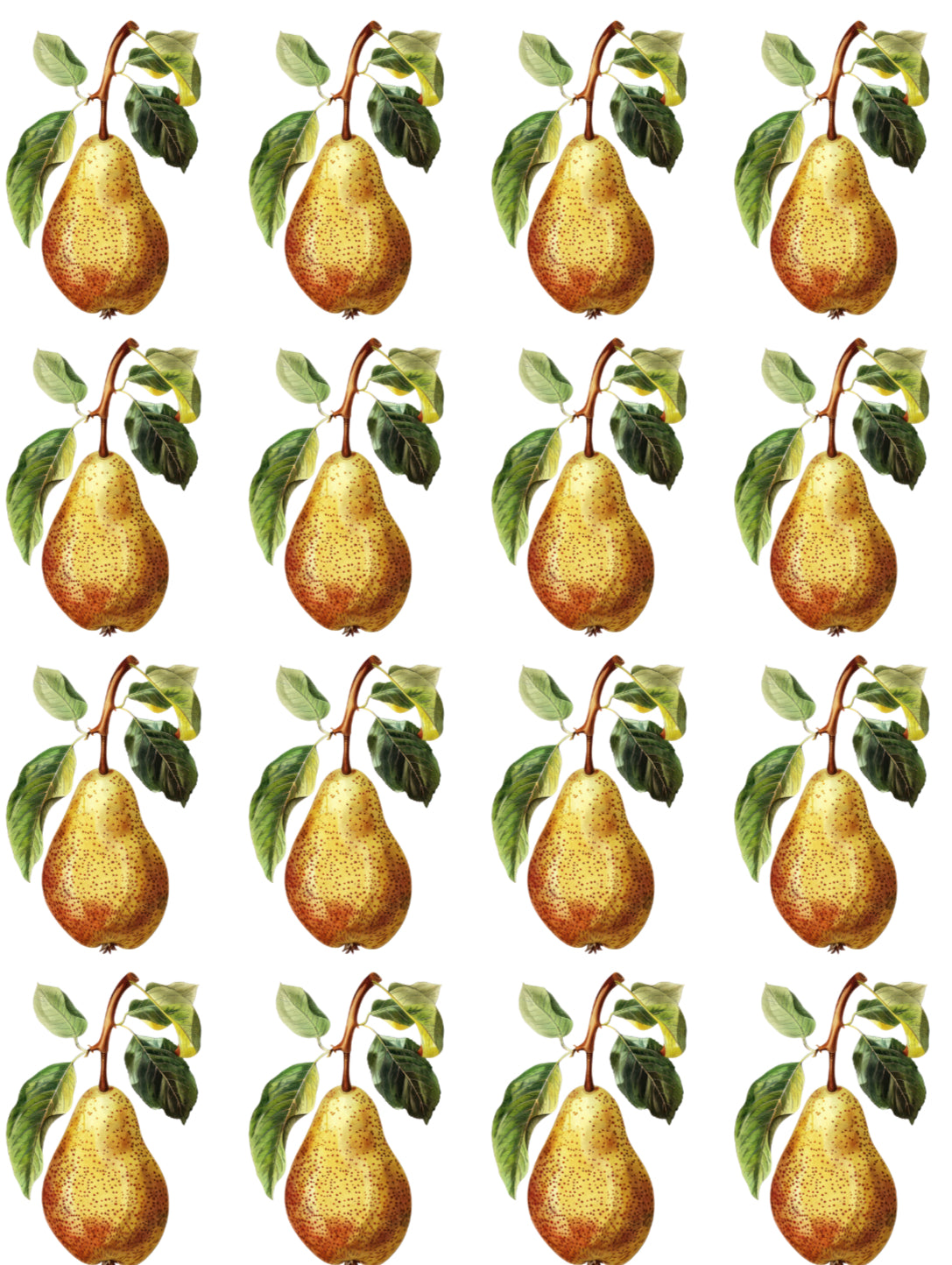 Vintage pears water transfer papers