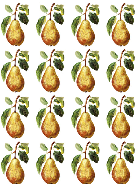 Vintage pears water transfer papers