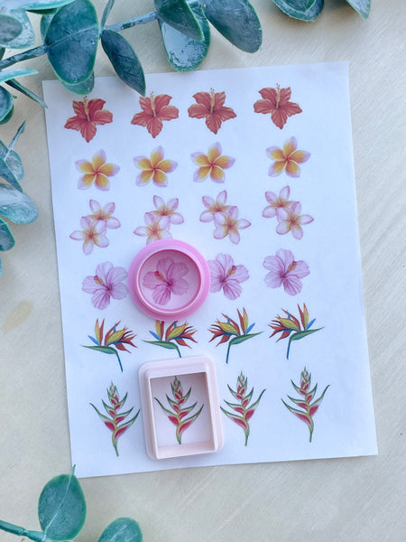 Tropical flower cutter & Image transfer paper