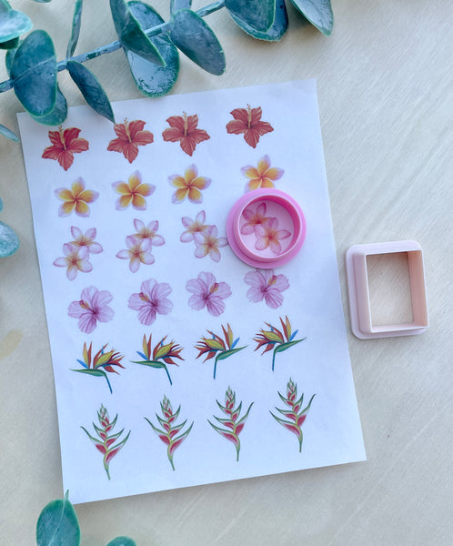 Tropical flower cutter & Image transfer paper
