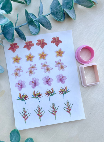 Tropical flower cutter & Image transfer paper