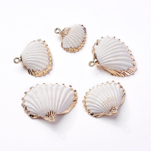 Gold border shell charms x 6 pieces