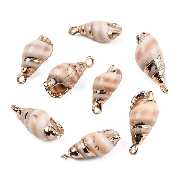 Spiral shell gold detail x 6 pieces