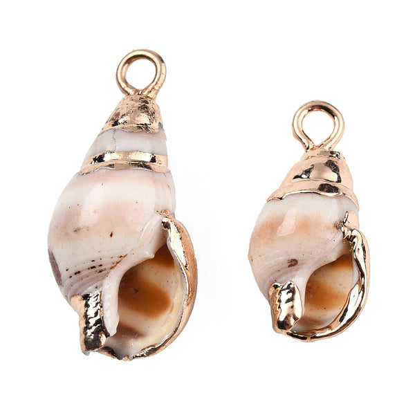 Spiral shell gold detail x 6 pieces