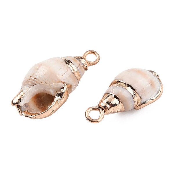 Spiral shell gold detail x 6 pieces