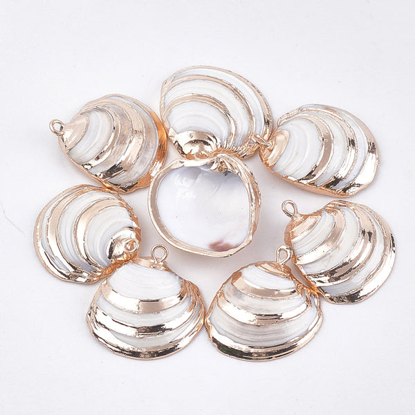 Shell gold detail x 6 pieces