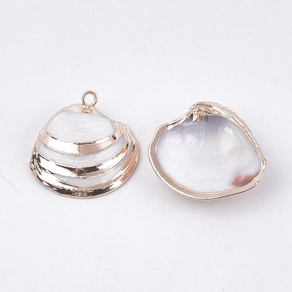 Shell gold detail x 6 pieces
