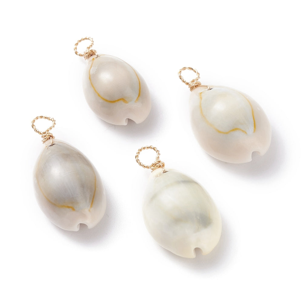 Cowrie shell charms x6
