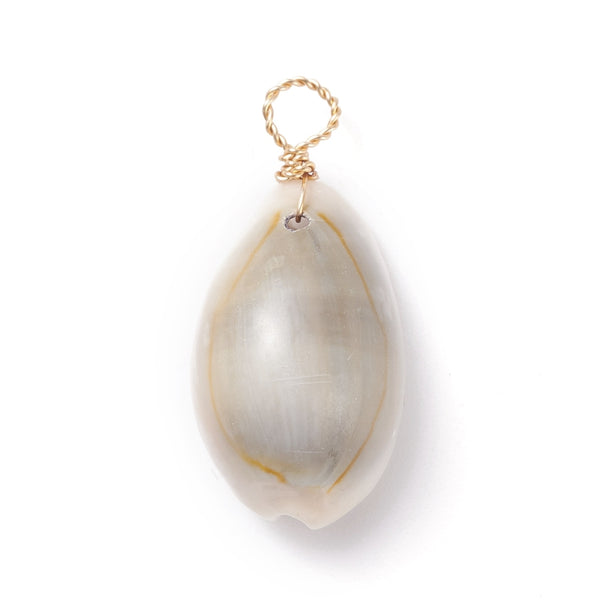 Cowrie shell charms x6