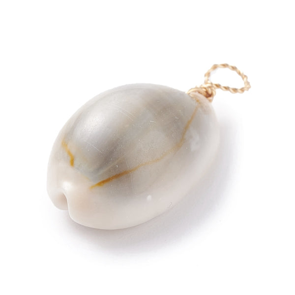 Cowrie shell charms x6