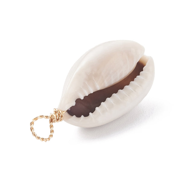 Cowrie shell charms x6