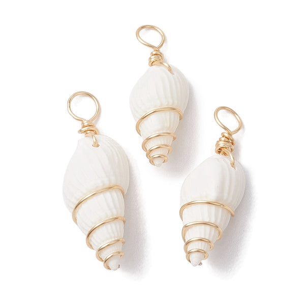 Cowrie gold plated border imitation shell charms x 6