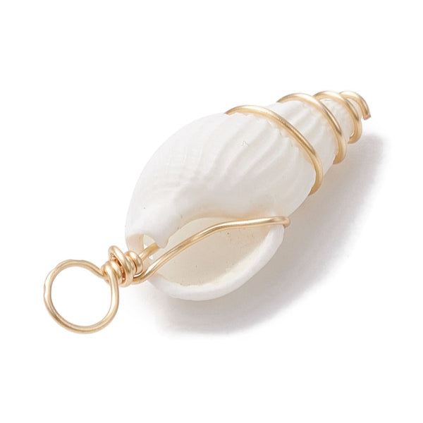 Cowrie gold plated border imitation shell charms x 6