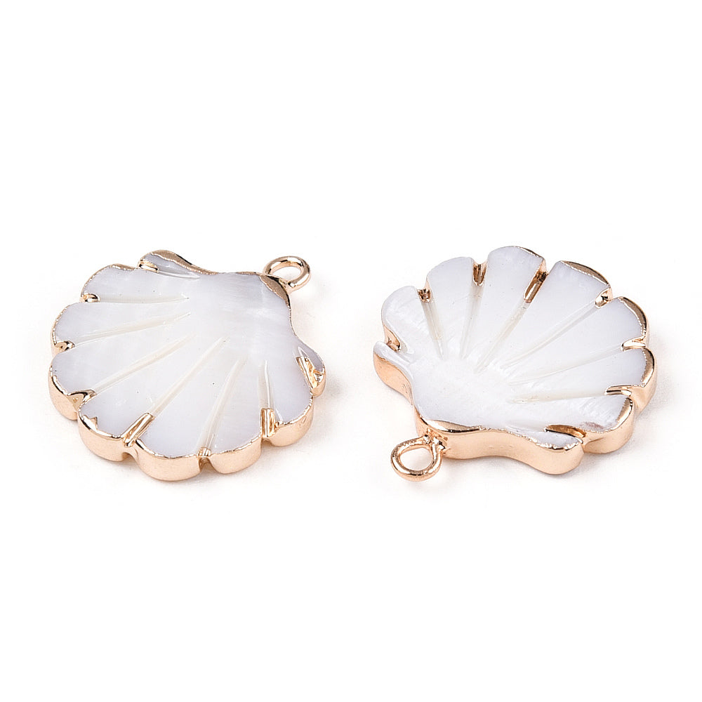 Shell gold border charms x 4  pieces