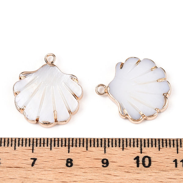 Shell gold border charms x 4  pieces