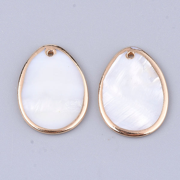 Natural fresh water shell drop charm with gold detail - pack of 4
