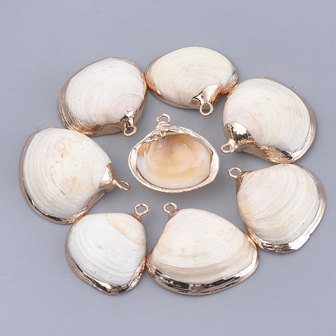 Natural shell gold border charms x 6
